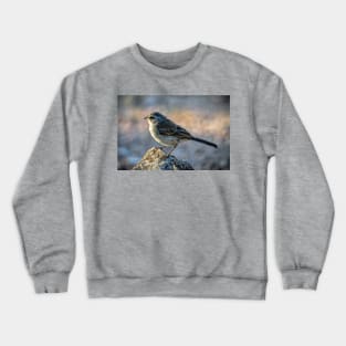 Juvenile Black Throated Sparrow Crewneck Sweatshirt